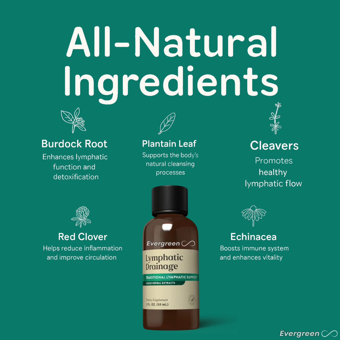 Lymphatic Drainage - Herbal Extracts Drops